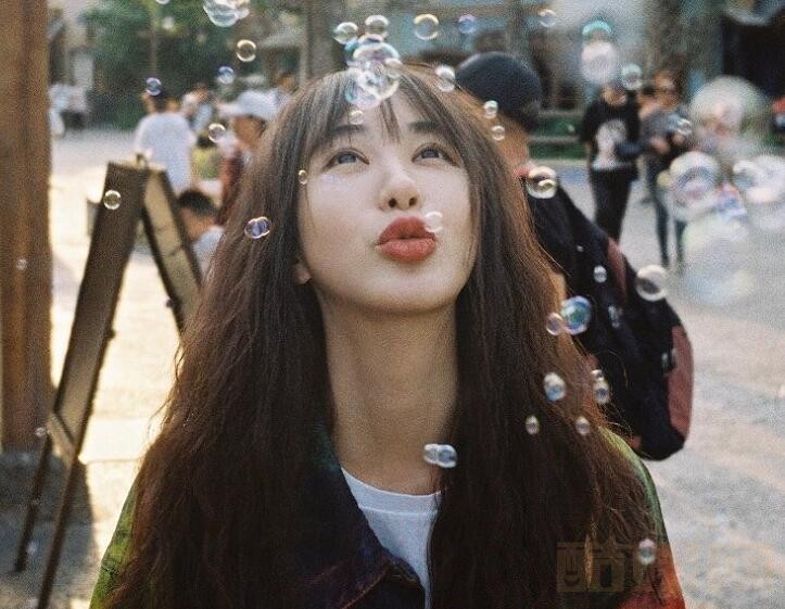 鲲鹏与蝴蝶剧情介绍