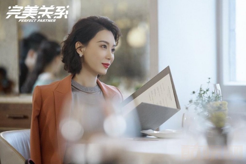电视剧完美关系剧情分集介绍第21集