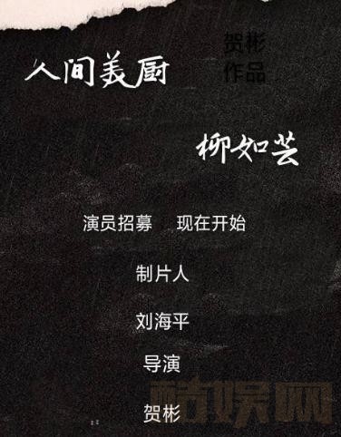 人间美厨柳如芸海报