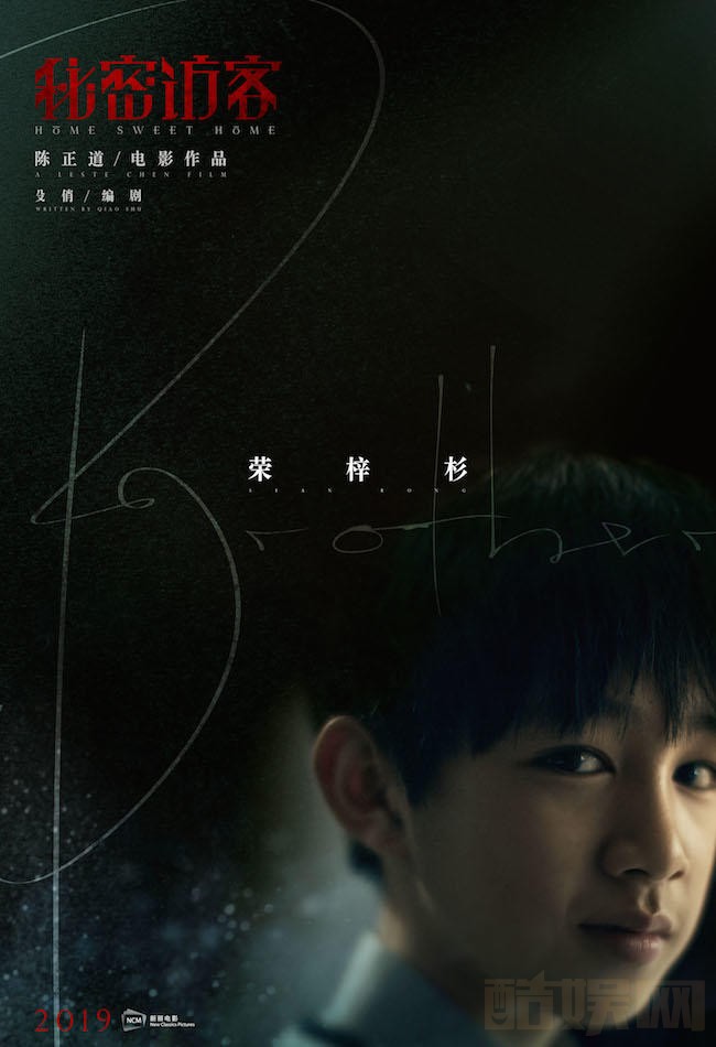 秘密访客海报