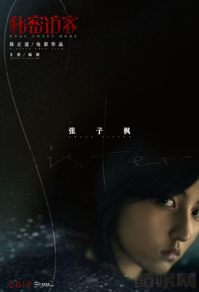 秘密访客海报