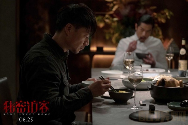 秘密访客剧情介绍 秘密访客剧照