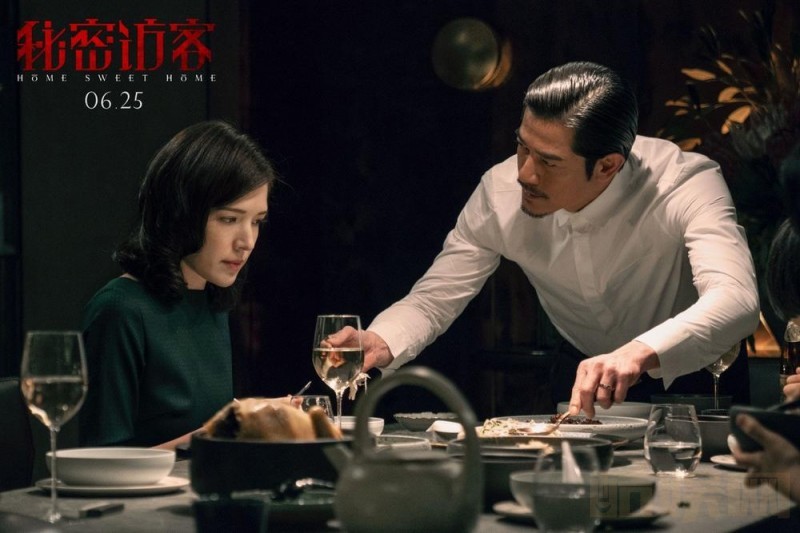 秘密访客剧情介绍 秘密访客剧照