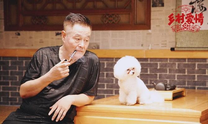 电视剧乡村爱情12剧情分集介绍第20集