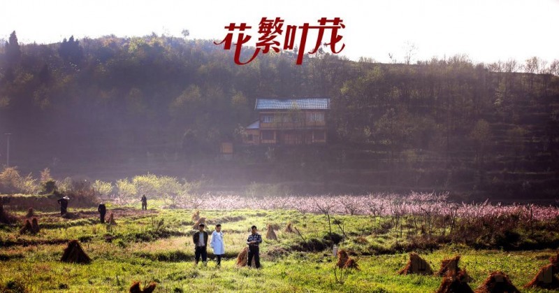 电视剧花繁叶茂剧情分集介绍第31集