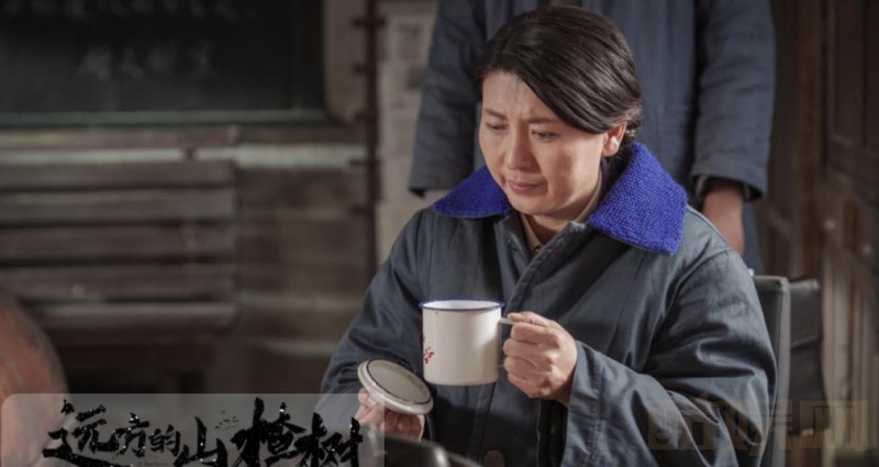 电视剧远方的山楂树剧情分集介绍第6集