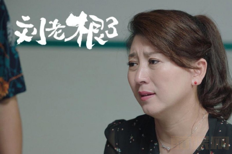 刘老根3剧照