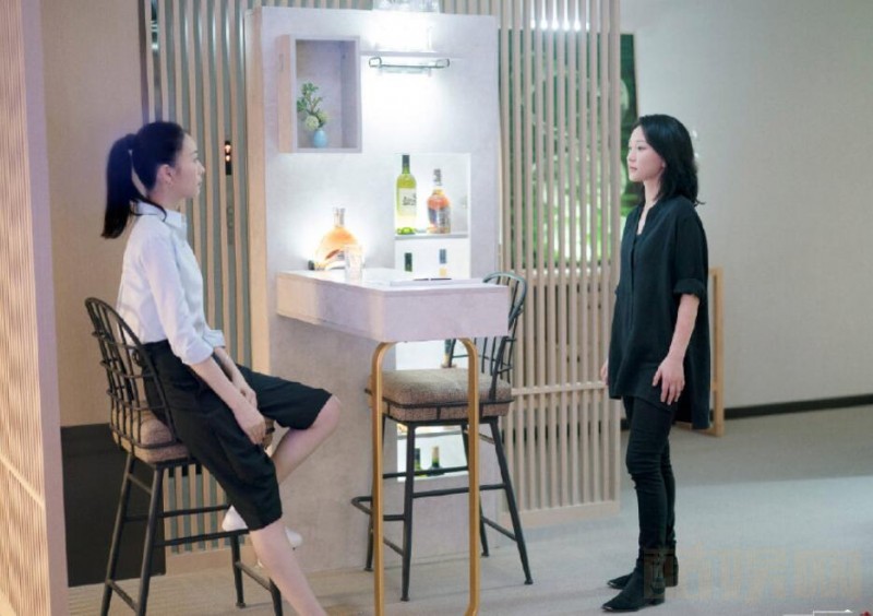 电视剧不完美的她剧情分集介绍第11集