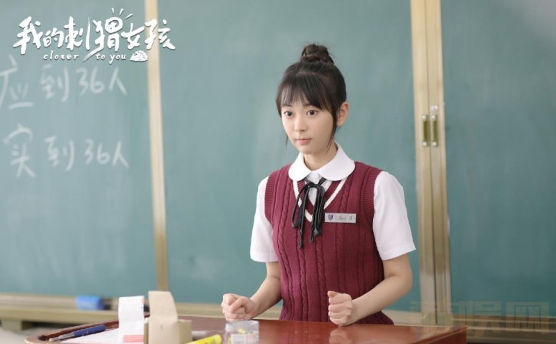 电视剧我的刺猬女孩剧情分集介绍第13集