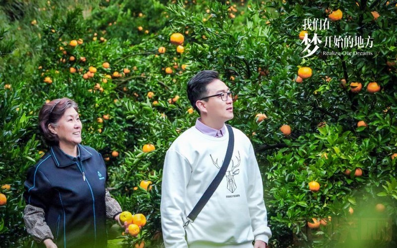 电视剧我们在梦开始的地方剧情分集介绍第16集