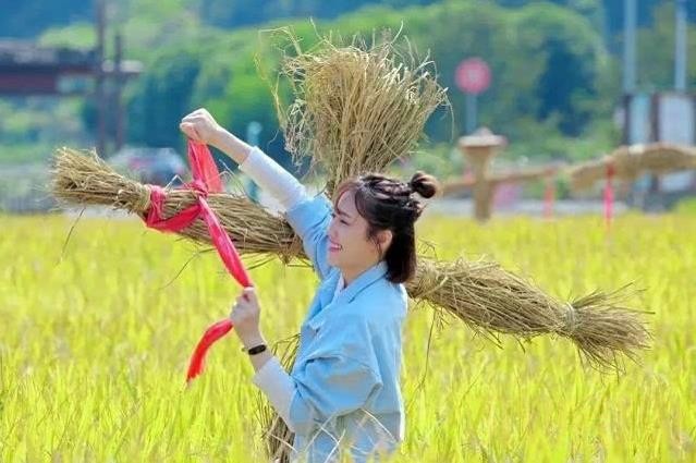 电视剧我们在梦开始的地方剧情分集介绍第21集