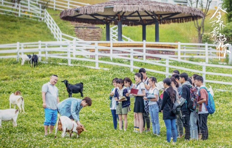 电视剧全世界最好的你剧情分集介绍第7集