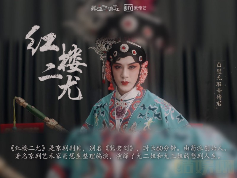 电视剧鬓边不是海棠红剧情分集介绍第29集