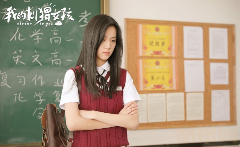 电视剧我的刺猬女孩剧情分集介绍第1集
