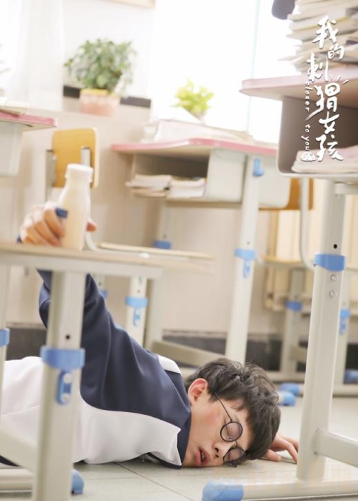 电视剧我的刺猬女孩剧情分集介绍第5集