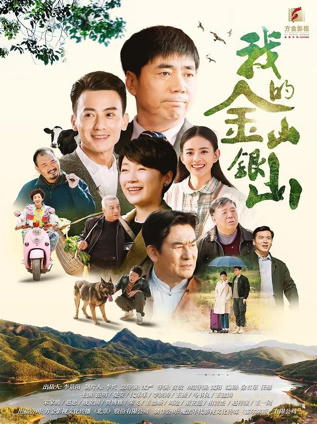 我的金山银山海报