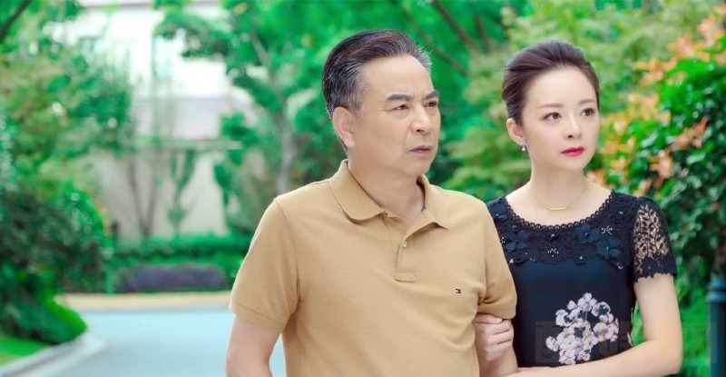 电视剧好妻子剧情分集介绍第14集
