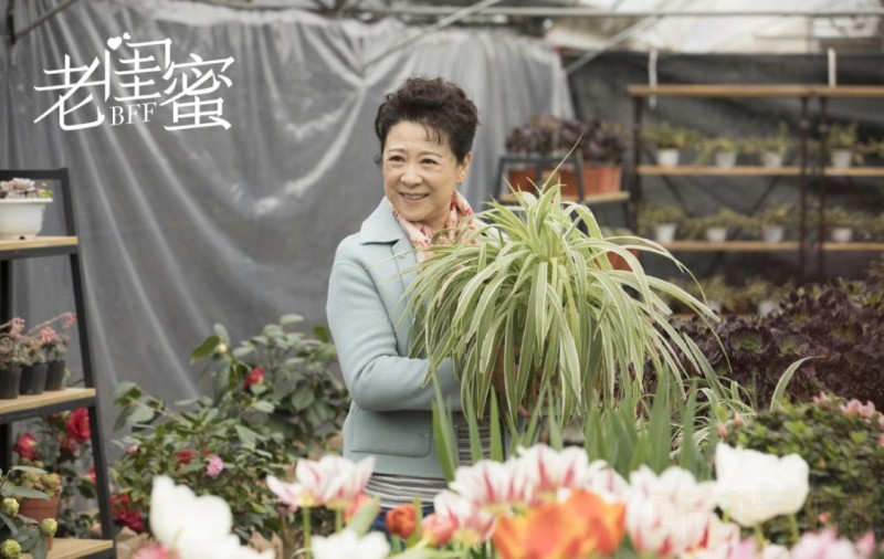 电视剧老闺蜜剧情分集介绍第41集