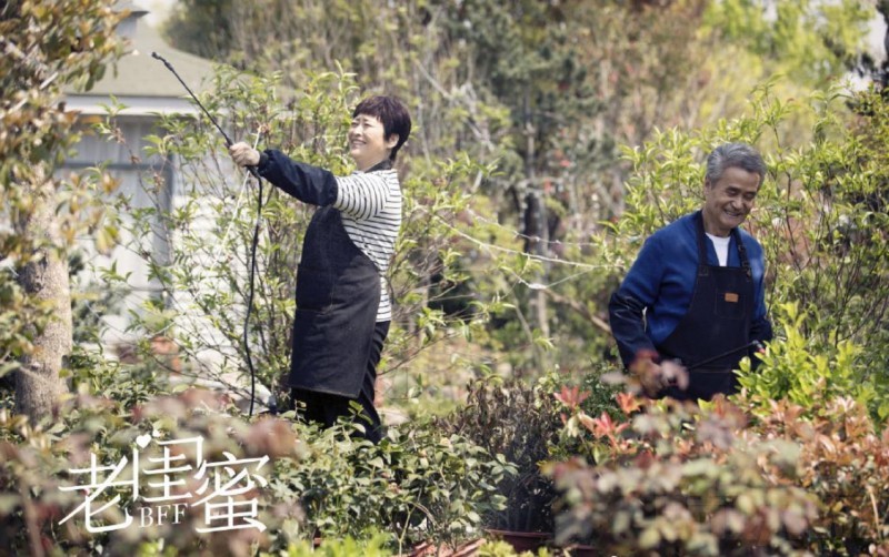 电视剧老闺蜜剧情分集介绍第42集