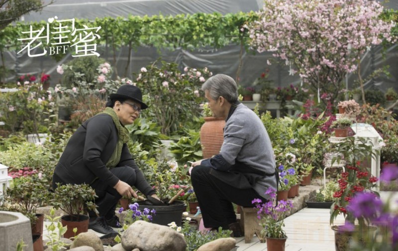 电视剧老闺蜜剧情分集介绍第13集