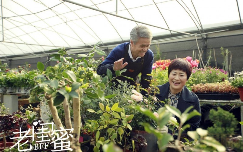电视剧老闺蜜剧情分集介绍第16集