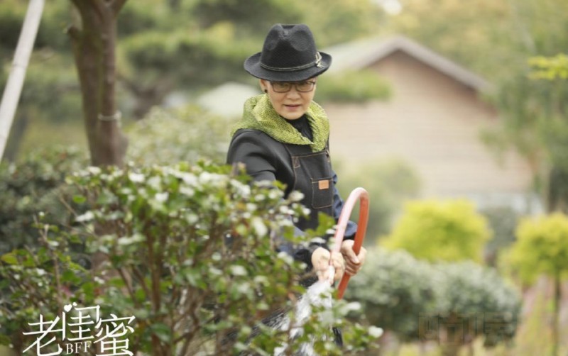 电视剧老闺蜜剧情分集介绍第28集