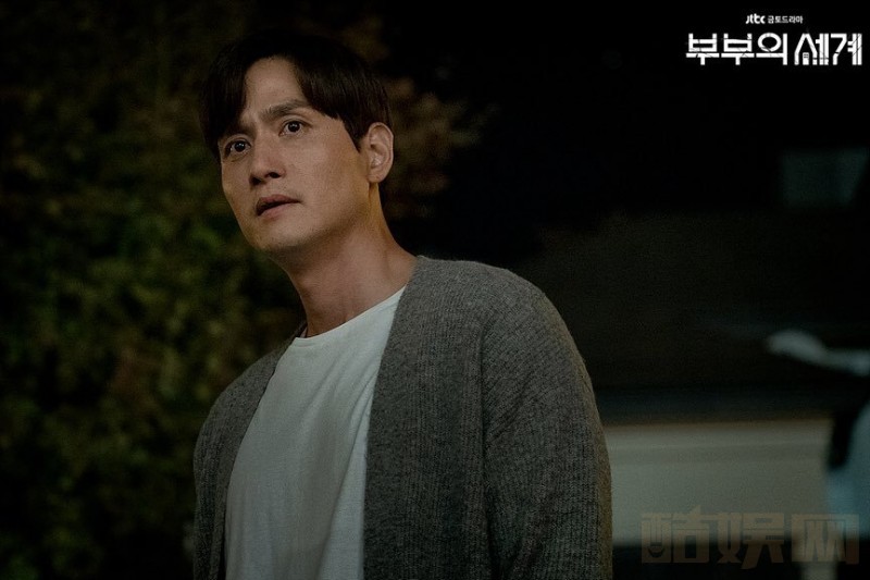 电视剧夫妻的世界剧情分集介绍第10集