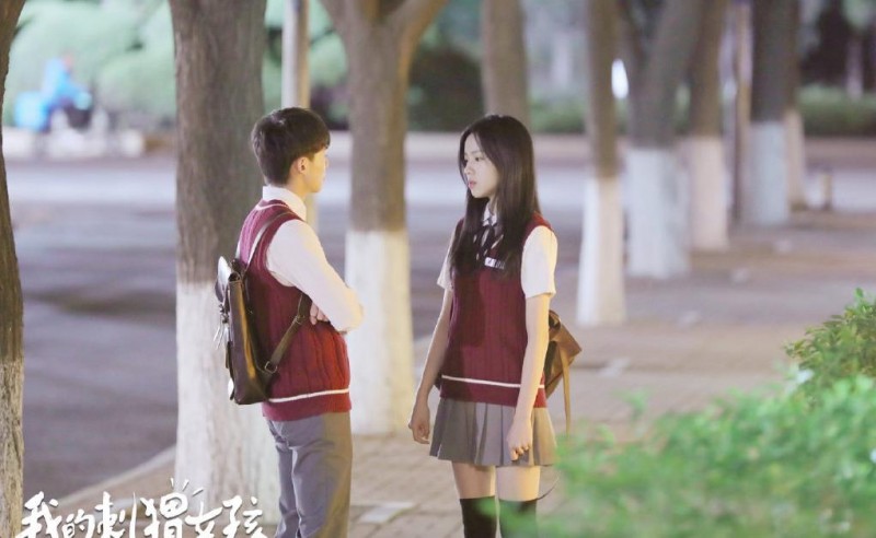 电视剧我的刺猬女孩剧情分集介绍第24集