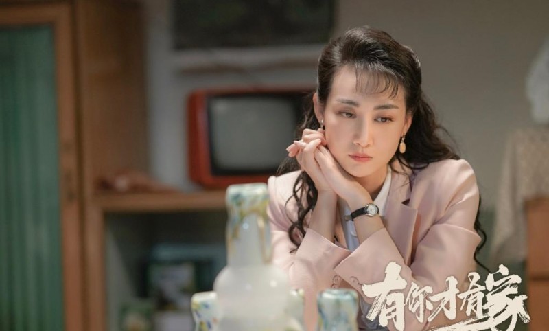 电视剧有你才有家剧情分集介绍第28集