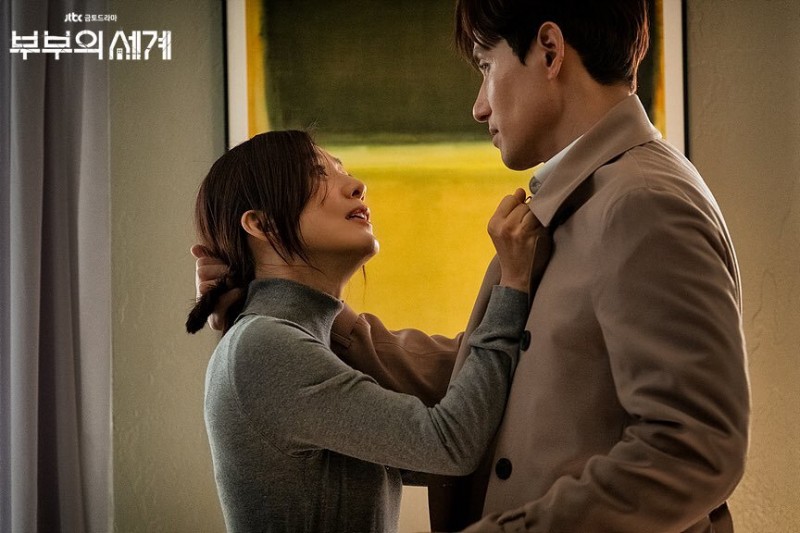《夫妻的世界》小叁年轻性感，女主报复手段屡试不爽
