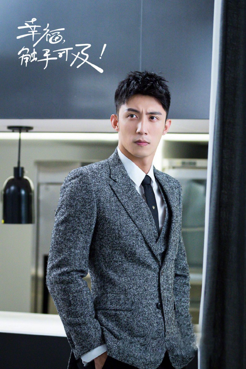 电视剧幸福触手可及剧情分集介绍第36集