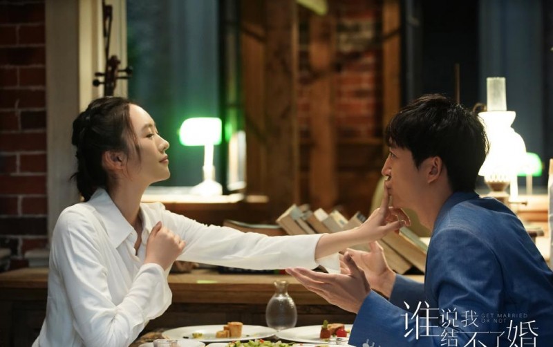 电视剧谁说我结不了婚剧情分集介绍第8集