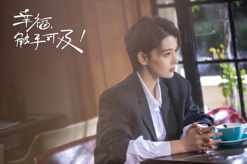 电视剧幸福触手可及剧情分集介绍第20集