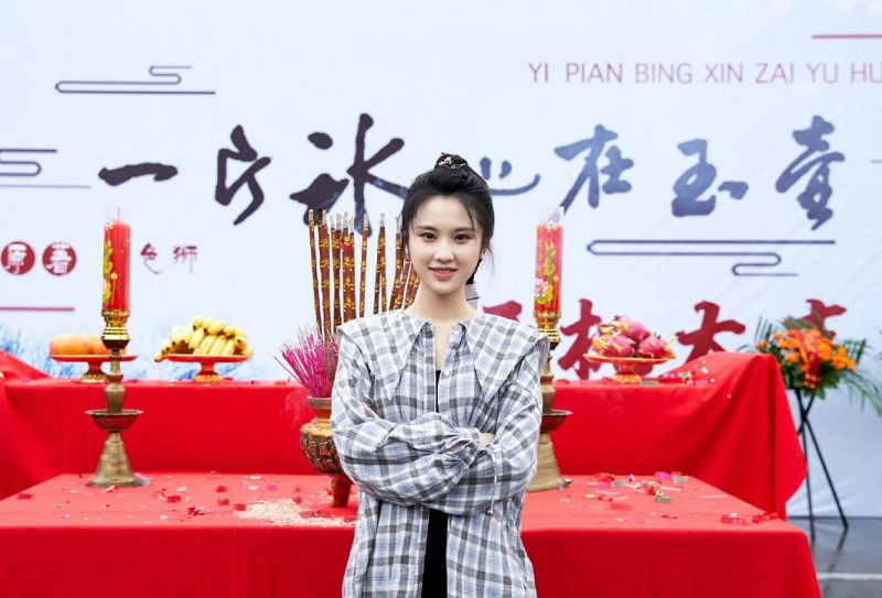 电视剧一片冰心在玉壶剧情分集介绍第1集