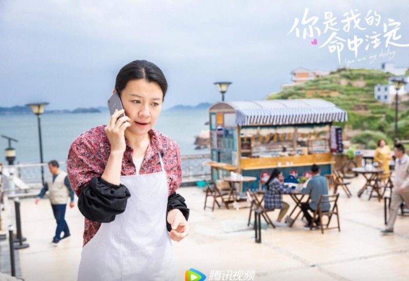 电视剧你是我的命中注定剧情分集介绍第15集