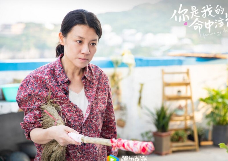 电视剧你是我的命中注定剧情分集介绍第24集