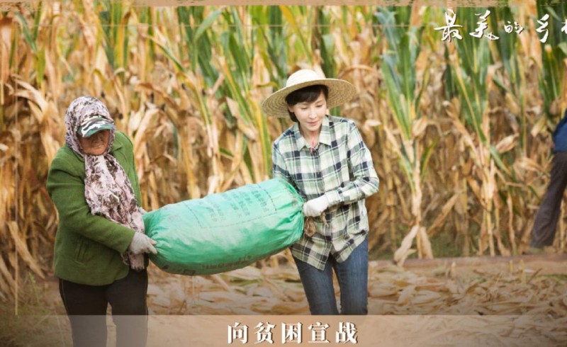 电视剧最美的乡村剧情分集介绍第14集