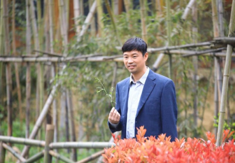 电视剧花繁叶茂剧情分集介绍第12集