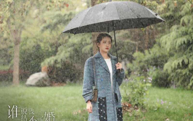 电视剧谁说我结不了婚剧情分集介绍第25集