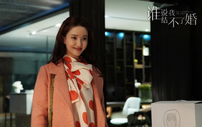 电视剧谁说我结不了婚剧情分集介绍第30集