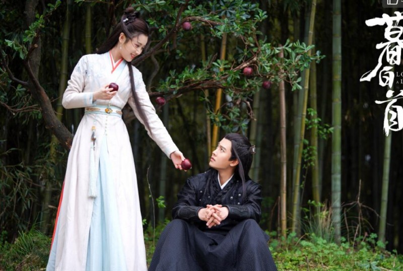 电视剧暮白首剧情分集介绍第17集