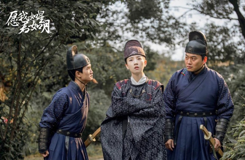 电视剧愿我如星君如月剧情分集介绍第10集
