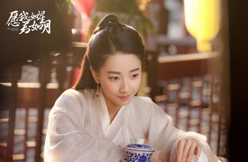 电视剧愿我如星君如月剧情分集介绍第17集