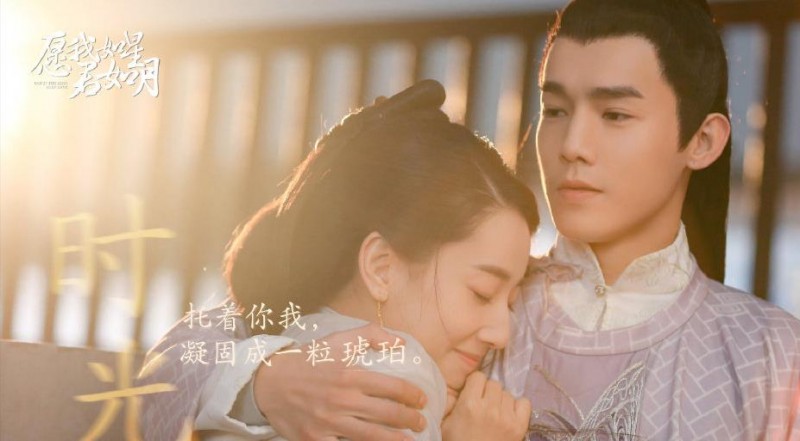 电视剧愿我如星君如月剧情分集介绍第20集