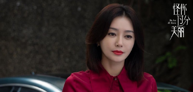 电视剧怪你过分美丽剧情分集介绍第19集
