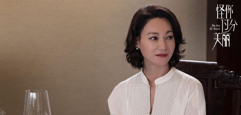 电视剧怪你过分美丽剧情分集介绍第23集