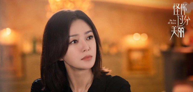 电视剧怪你过分美丽剧情分集介绍第25集