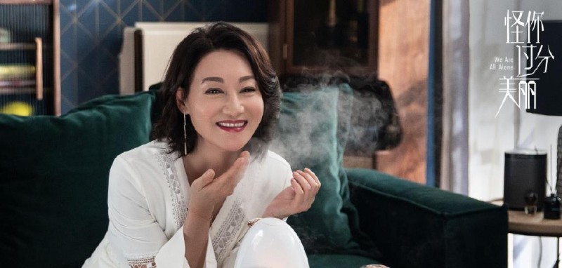 电视剧怪你过分美丽剧情分集介绍第28集