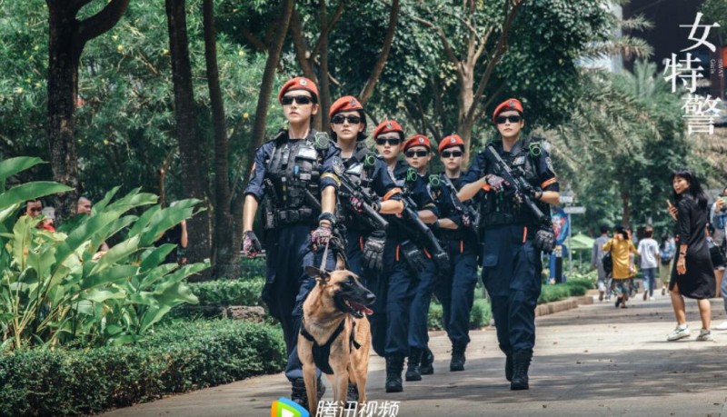 女特警剧情介绍