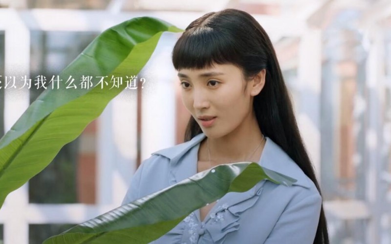 电视剧民初奇人传剧情分集介绍第33集